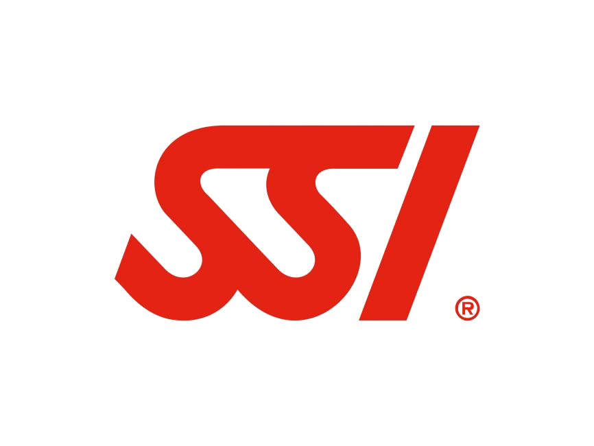 SSI